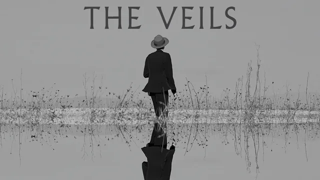 Promotional artwork for The Veils