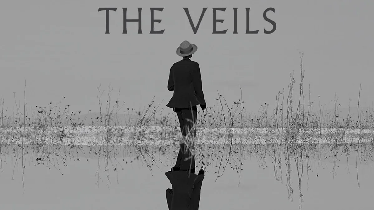 Promotional artwork for The Veils